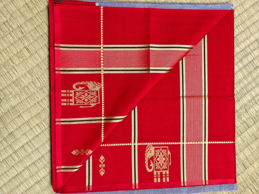Grey Elephant Motif Saree Detail